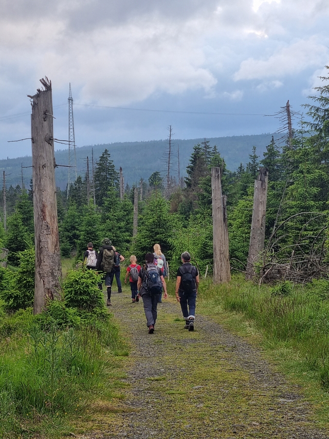 2024 06 21 WAnderung 6