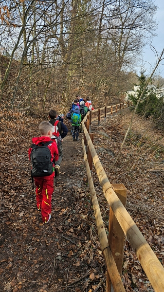 2025 03 Waldtrolle 2