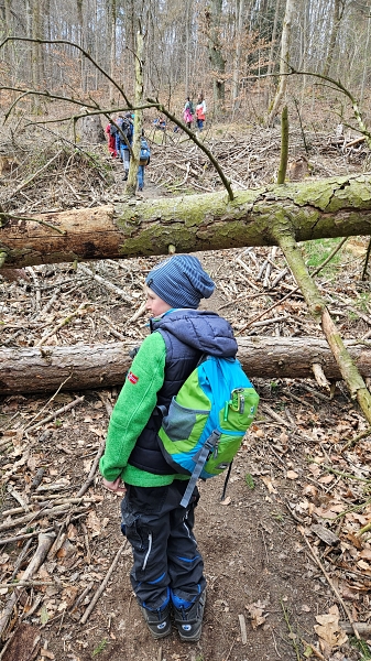 2025 03 Waldtrolle 3