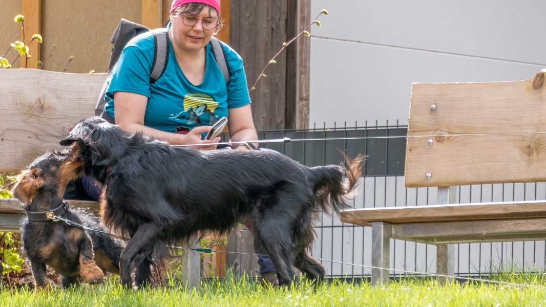 2025 04 13 Wanderung 2