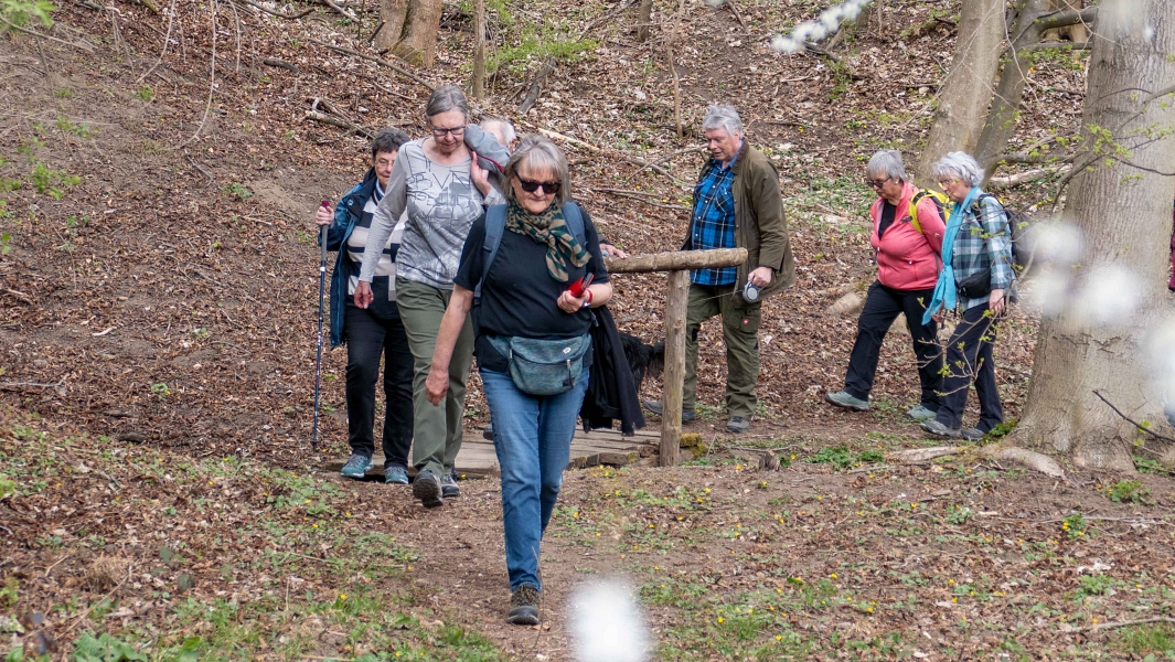 2025 04 13 Wanderung 5