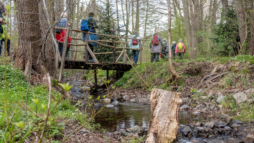 2025 04 13 Wanderung 8