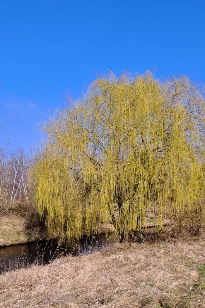 klein2025 03 16 Wandern 3